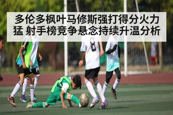 多伦多枫叶马修斯强打得分火力猛 射手榜竞争悬念持续升温分析